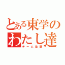 とある東学のわたし達（チーム投擲）