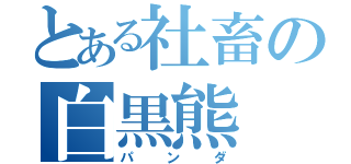 とある社畜の白黒熊（パンダ）