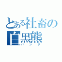 とある社畜の白黒熊（パンダ）