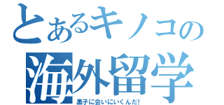 とあるキノコの海外留学（黒子に会いにいくんだ！）