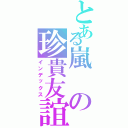 とある嵐の珍貴友誼（インデックス）