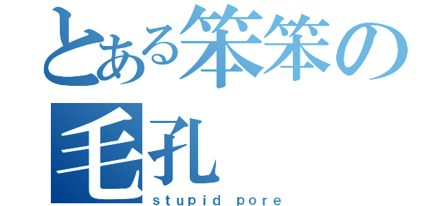 とある笨笨の毛孔（ｓｔｕｐｉｄ ｐｏｒｅ）