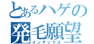 とあるハゲの発毛願望（インデックス）