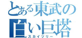 とある東武の白い巨塔（スカイツリー）