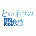 とあるネコの集会所（陽だまりに限る）