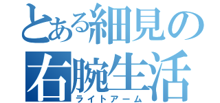 とある細見の右腕生活（ライトアーム）