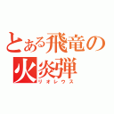 とある飛竜の火炎弾（リオレウス）