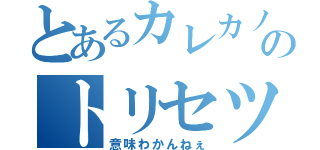 とあるカレカノのトリセツ（意味わかんねぇ）