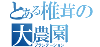 とある椎茸の大農園（プランテーション）