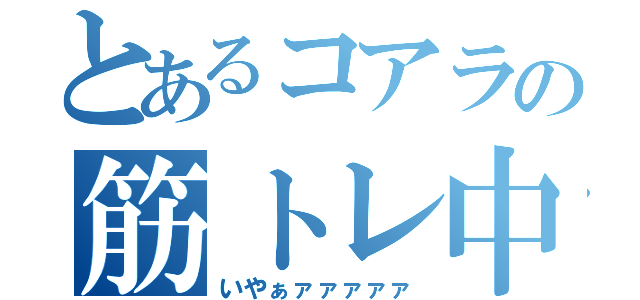 とあるコアラの筋トレ中（いやぁァァァァァ）