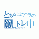 とあるコアラの筋トレ中（いやぁァァァァァ）