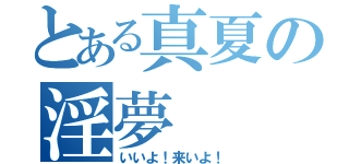 とある真夏の淫夢（いいよ！来いよ！）