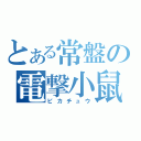 とある常盤の電撃小鼠（ピカチュウ）