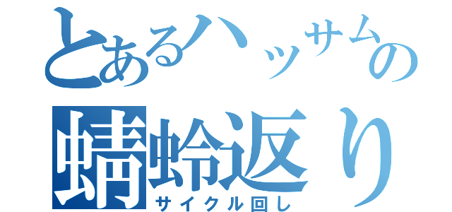 とあるハッサムの蜻蛉返り（サイクル回し）