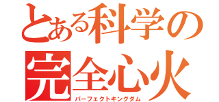 とある科学の完全心火（パーフェクトキングダム）