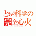 とある科学の完全心火（パーフェクトキングダム）