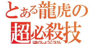 とある龍虎の超必殺技（はおうしょうこうけん）