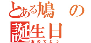 とある鳩の誕生日（おめでとう）