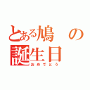 とある鳩の誕生日（おめでとう）