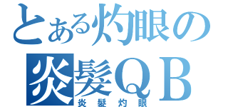 とある灼眼の炎髮ＱＢ（炎髮灼眼）