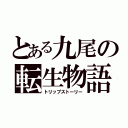 とある九尾の転生物語（トリップストーリー）