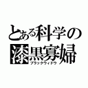 とある科学の漆黒寡婦（ブラックウィドウ）