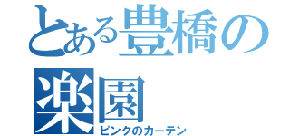 とある豊橋の楽園（ピンクのカーテン）