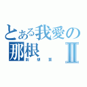 とある我愛の那根Ⅱ（別想歪）