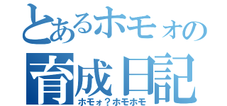 とあるホモォの育成日記（ホモォ？ホモホモ）