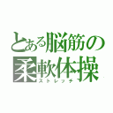 とある脳筋の柔軟体操（ストレッチ）