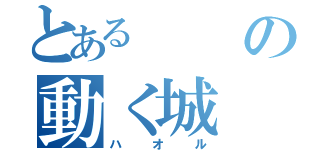 とあるの動く城（ハオル）