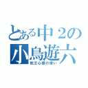 とある中２の小鳥遊六花（蛇王心眼の使い）