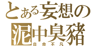 とある妄想の泥中臭豬（自命不凡）