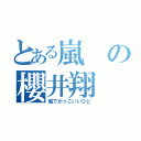 とある嵐の櫻井翔（嵐でかっこいいひと）