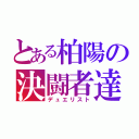 とある柏陽の決闘者達（デュエリスト）