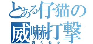 とある仔猫の威嚇打撃（おくもふ）