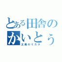 とある田舎のかいとぅ（正義のミカタ）