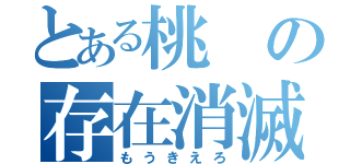 とある桃の存在消滅（もうきえろ）