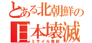 とある北朝鮮の日本壊滅（ミサイル発射）