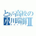 とある高校の小川瑞輝Ⅱ（オカミズ）