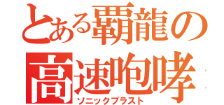 とある覇龍の高速咆哮（ソニックブラスト）