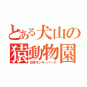 とある犬山の猿動物園（日本モンキーパーク）