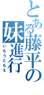 とある藤平の妹進行（いもうともえ）