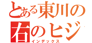 とある東川の右のヒジ（インデックス）