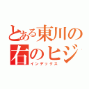 とある東川の右のヒジ（インデックス）