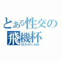 とある性交の飛機杯（ＡＥＲＯＰＬＡＮＥ）