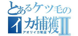 とあるケツ毛のイカ捕獲Ⅱ（アオリイカ奪還）