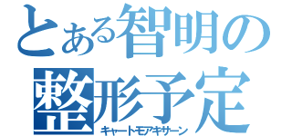 とある智明の整形予定（キャートモアキサーン）