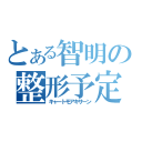 とある智明の整形予定（キャートモアキサーン）