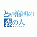 とある海明の森の人（オラウータン）